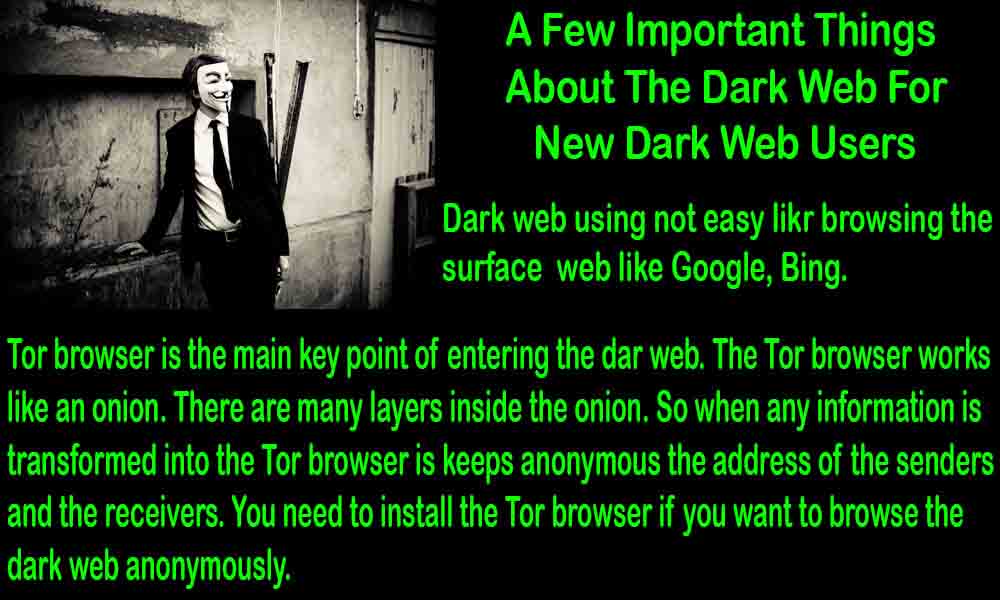 About Dark Web Users
